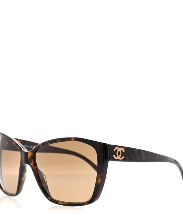Acetate CC Sunglasses 5203 Tortoise