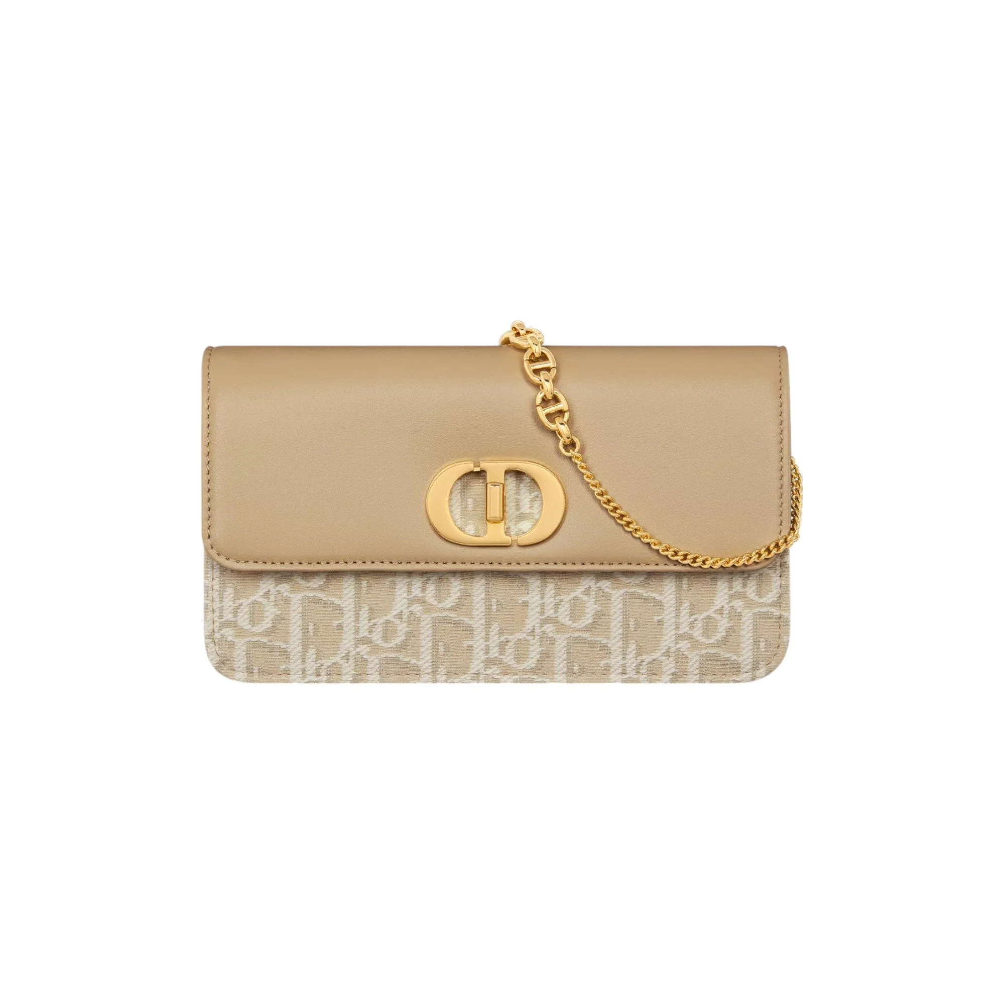 Miss Caro Pouch with Chain